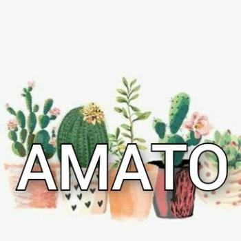producto inf