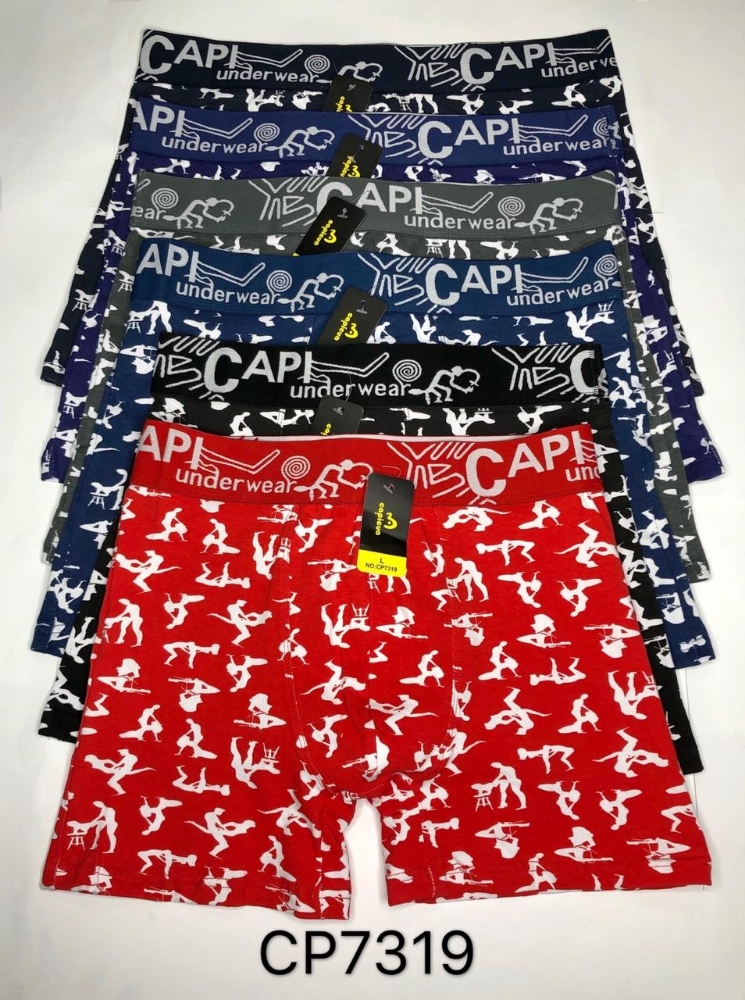 Bóxer Capicua Estampadas - Imagen 1