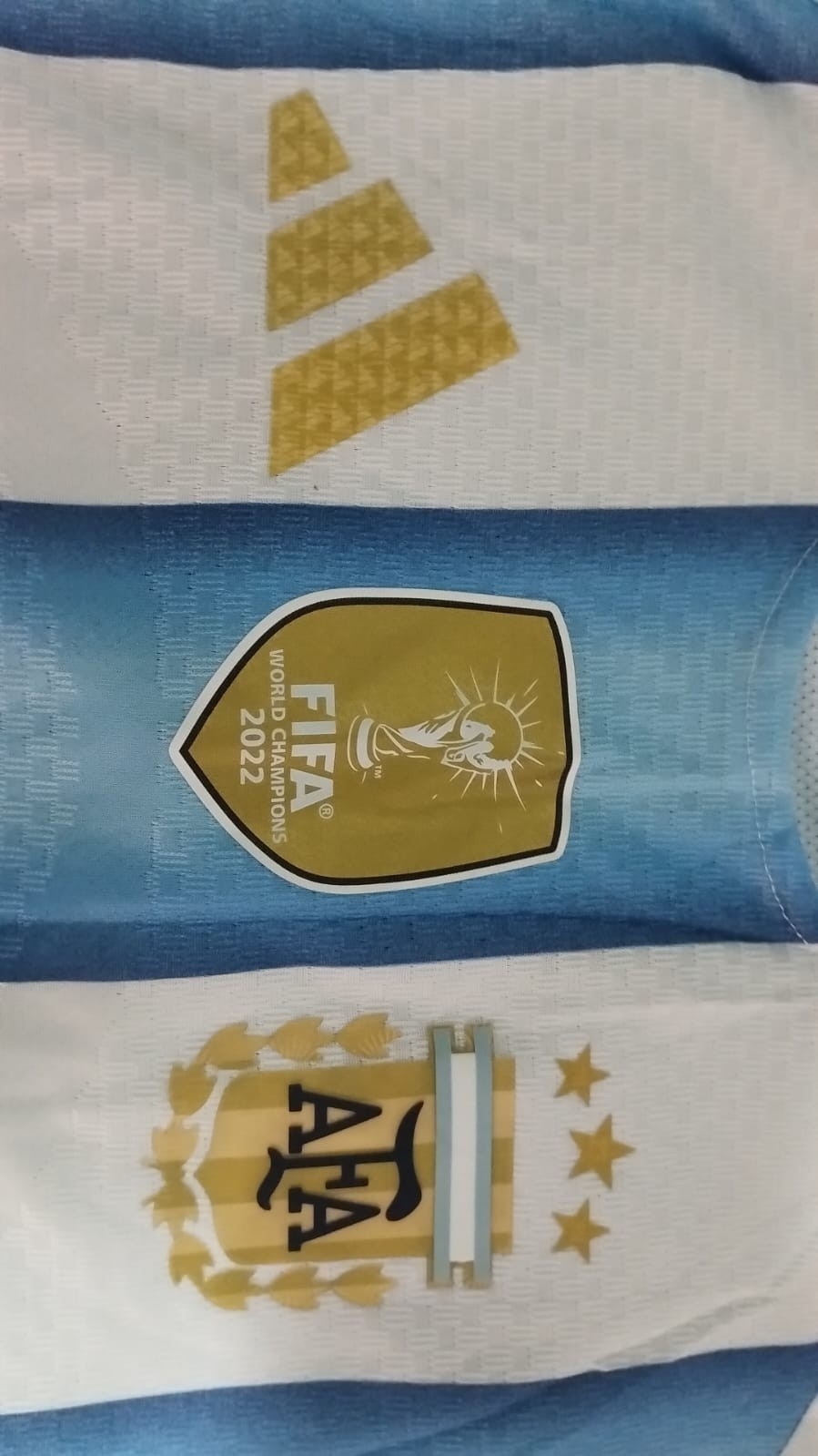 Camiseta Arg, Version Jugador G5 Titular Pack de 10 a $ 32,000 C/ u - Imagen 4