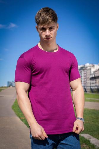 Remera  Polo