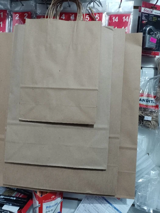 Bolsa de Cartón X 10 Unidades