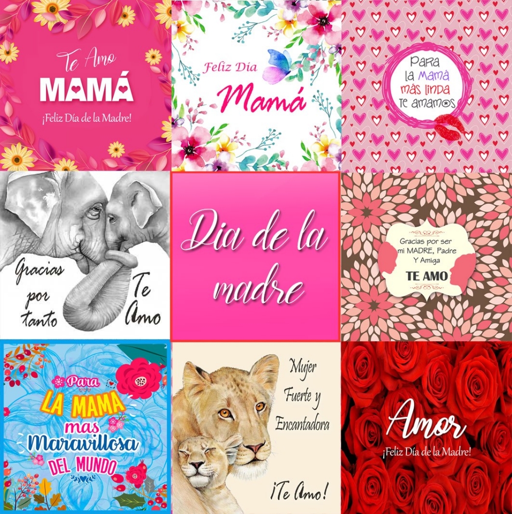 Almohadon Dia de la Madre - Imagen 2