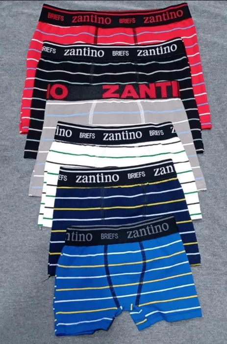 Bóxer Niño Zantino