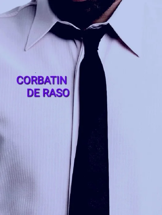 Corbatin Liso de Raso