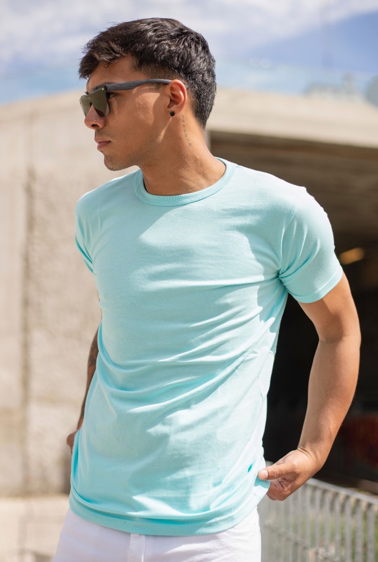 R49 - Remeras Basicas de Algodon - Imagen88.jpg