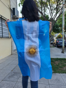 Bandera Mediana Argentina