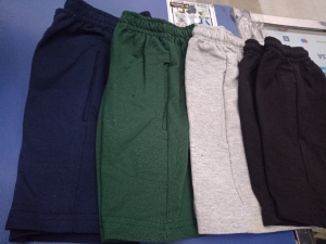 Shorts Lisos