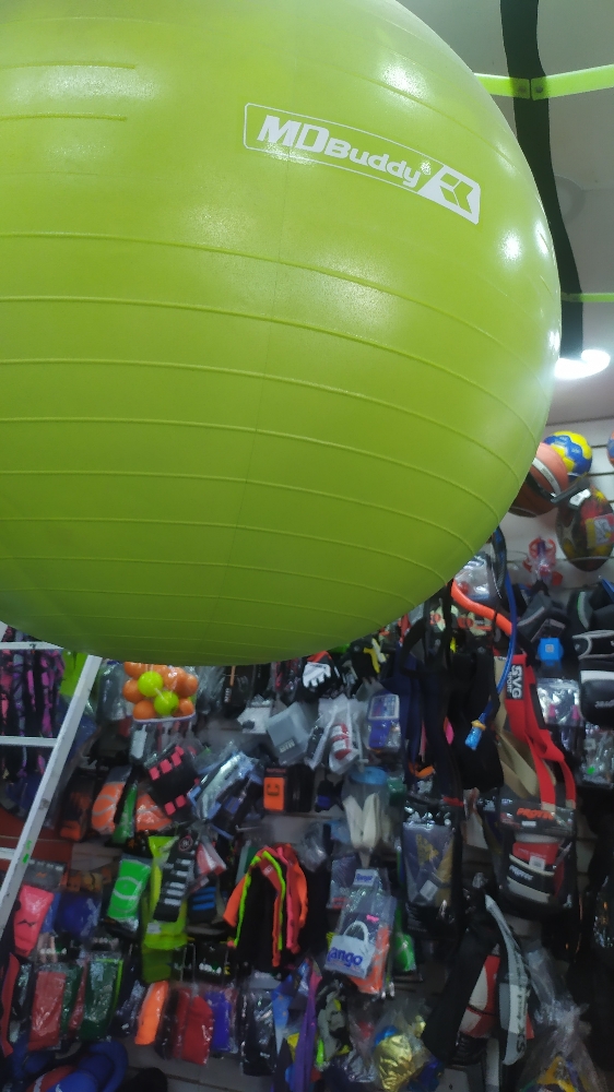 Pelotas Esferodinamia con Inflador - Imagen 2