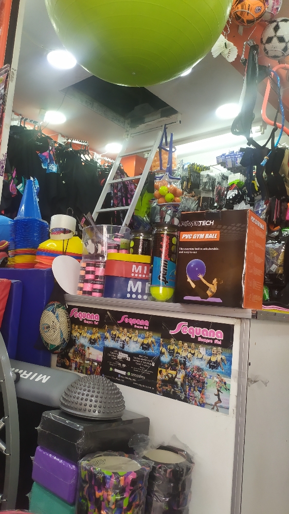 Pelotas Esferodinamia con Inflador - Imagen 3
