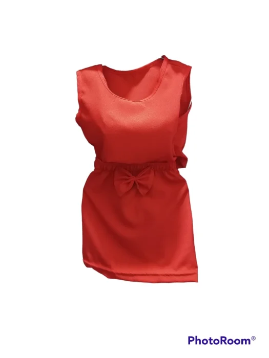 Top con Pollera
