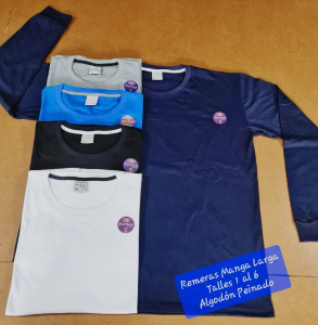 Remera Manga Larga
