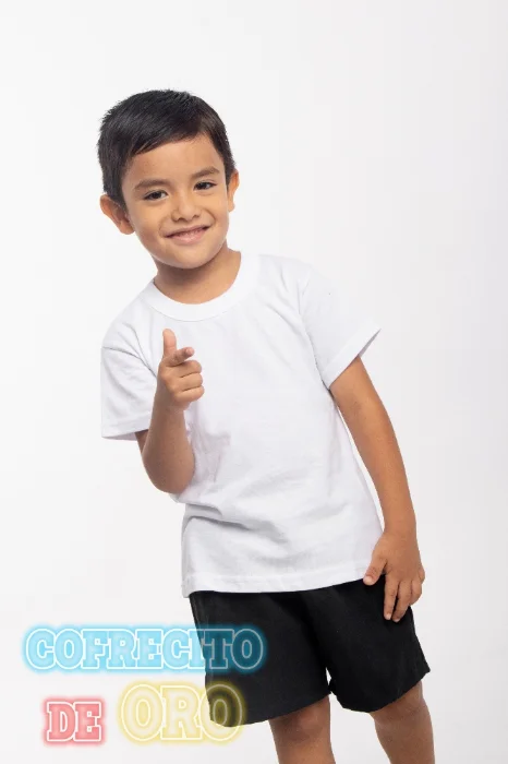 Remeras 100 Peinado!!!