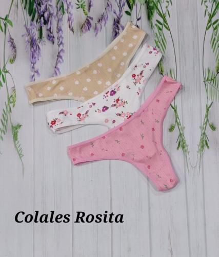 Colaless Rosita
