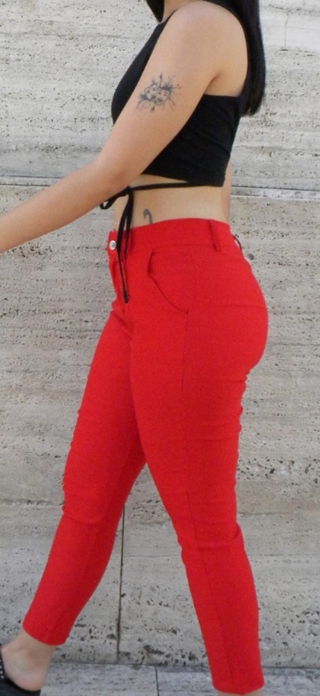Vengalina Sastrero - Imagen 2