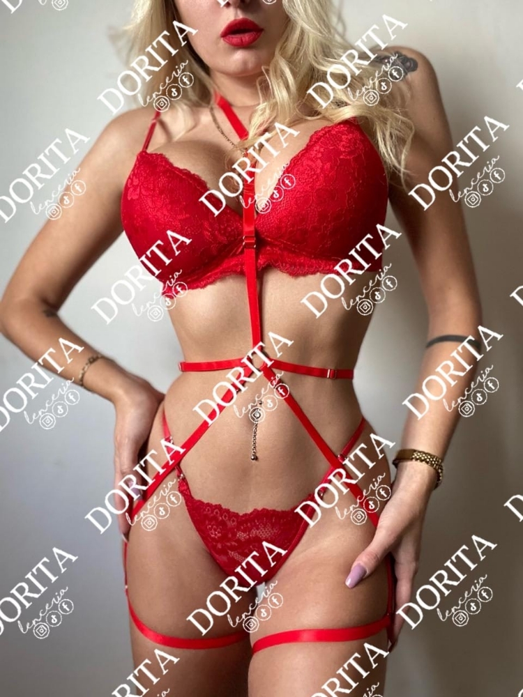 Art.135 Arnés Entero - Imagen 3