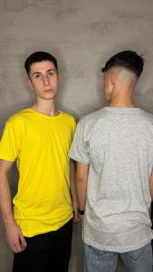 Remera Lisa