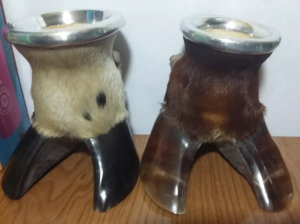 Mate Pezuña Interior de Calabaza