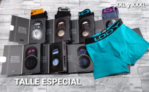 Boxer Lody Talles Especial Lisos