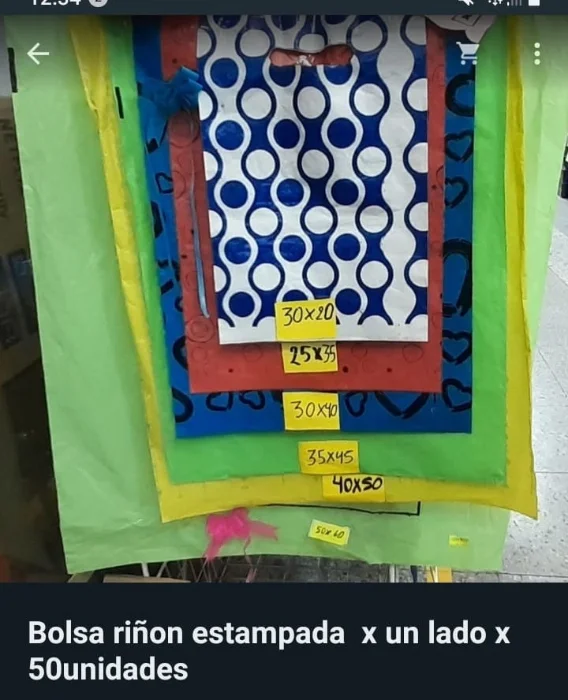 Bolsas Riñon