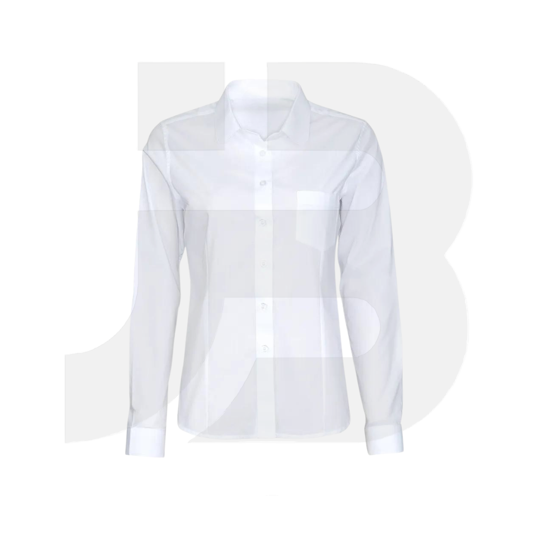 Camisa de Oficina Dama (manga Larga) - classic (3).png