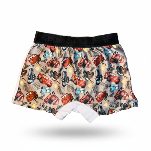 Boxer Dinosaurios, Superheroes, Paw Patrol, Cars - Miniatura 3
