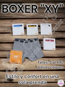 Boxer Xy