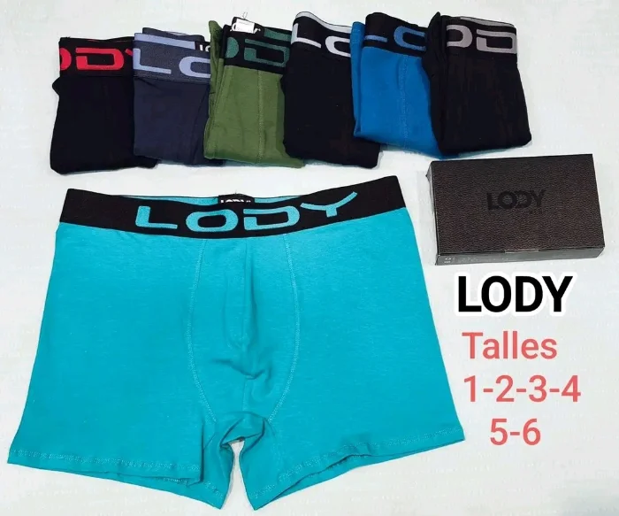 Boxer Lody Liso Original