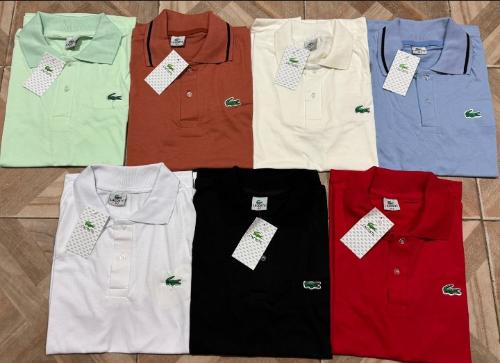 Chomba Lacoste