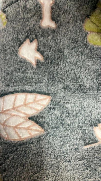 Mantas Luminosas