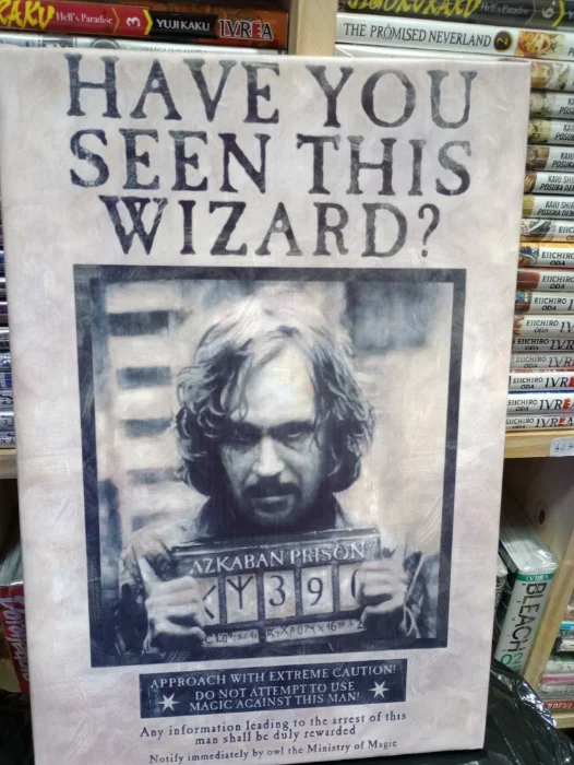 Cuadros Harry Potter