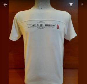 Remeras Algodón Peinado Premium - Miniatura 4