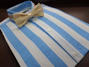Camisa Rayada Entallada - Miniatura 4