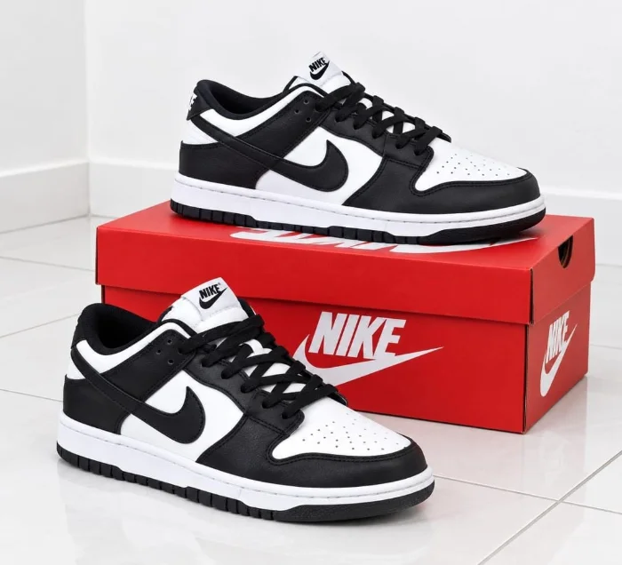 Art.nikedunk