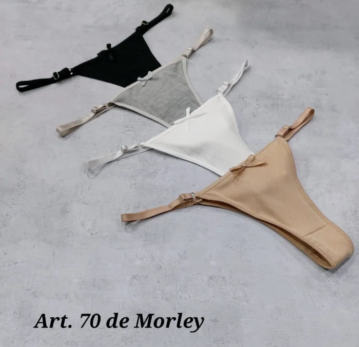 Colaless Reg de Morley Art 70