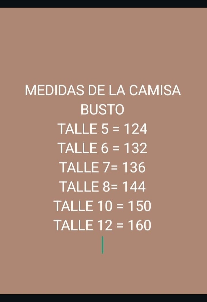 Camisas 5 al 12 Manga  3/4 - Imagen 2