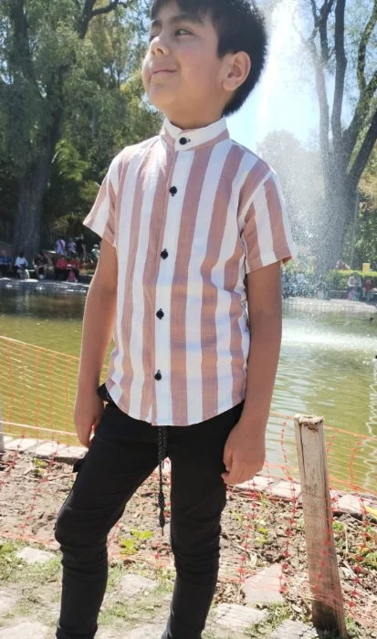 Camisas de Lino Rayado