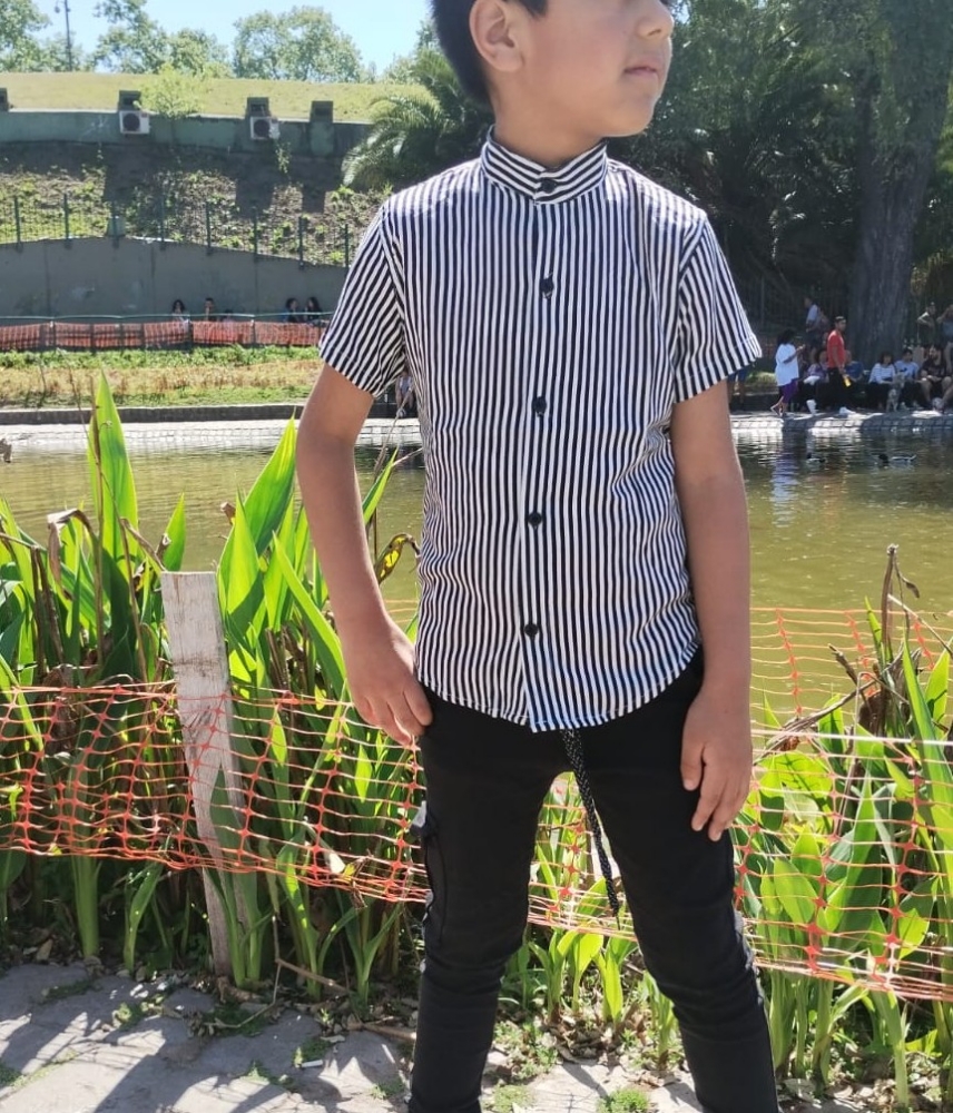 Camisas de Lino Rayado - Imagen 3