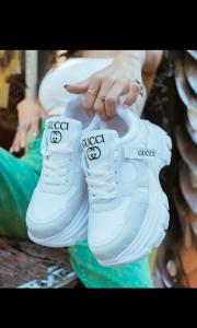 Art. 2000 Gucci Premium