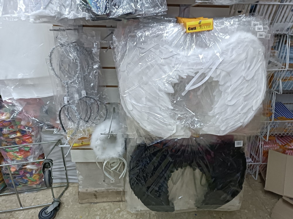 Variedad de Alas de Angel - Imagen 4