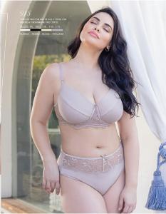 Art.915 Melifera