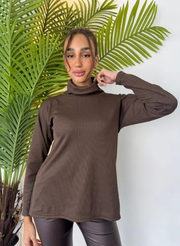 Sweaters Poleron