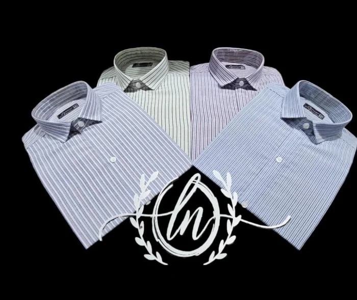 Camisa Semi Entalladas a Rayas
