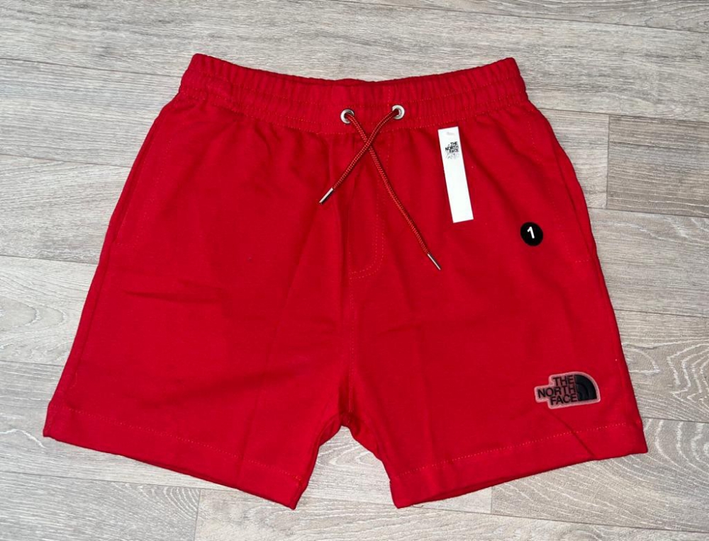 Short North Face Hombre - Imagen 3