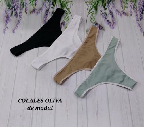 Colaless Oliva de Modal