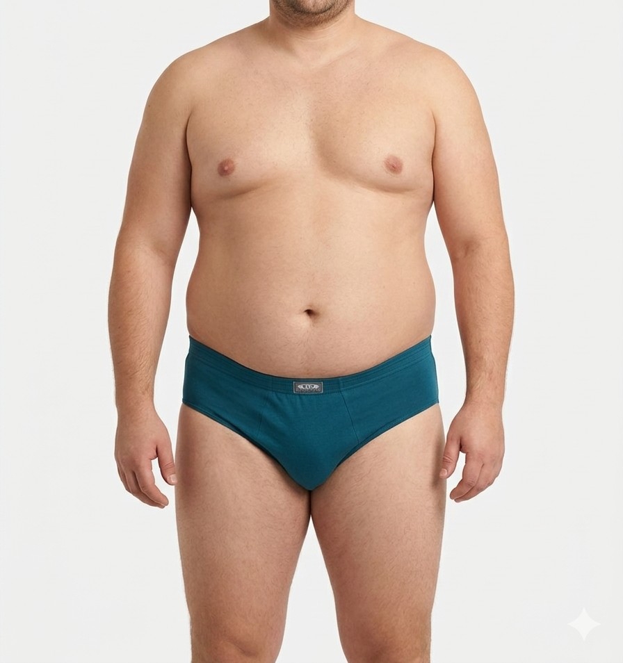 Docena de Slip de Algodón Talle Especial con Elástico Embutido - Imagen 2