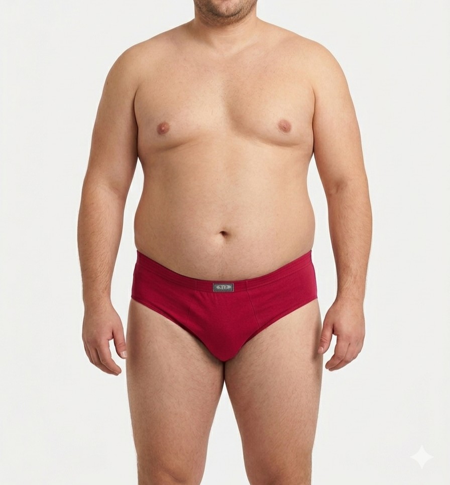 Docena de Slip de Algodón Talle Especial con Elástico Embutido - Imagen 3