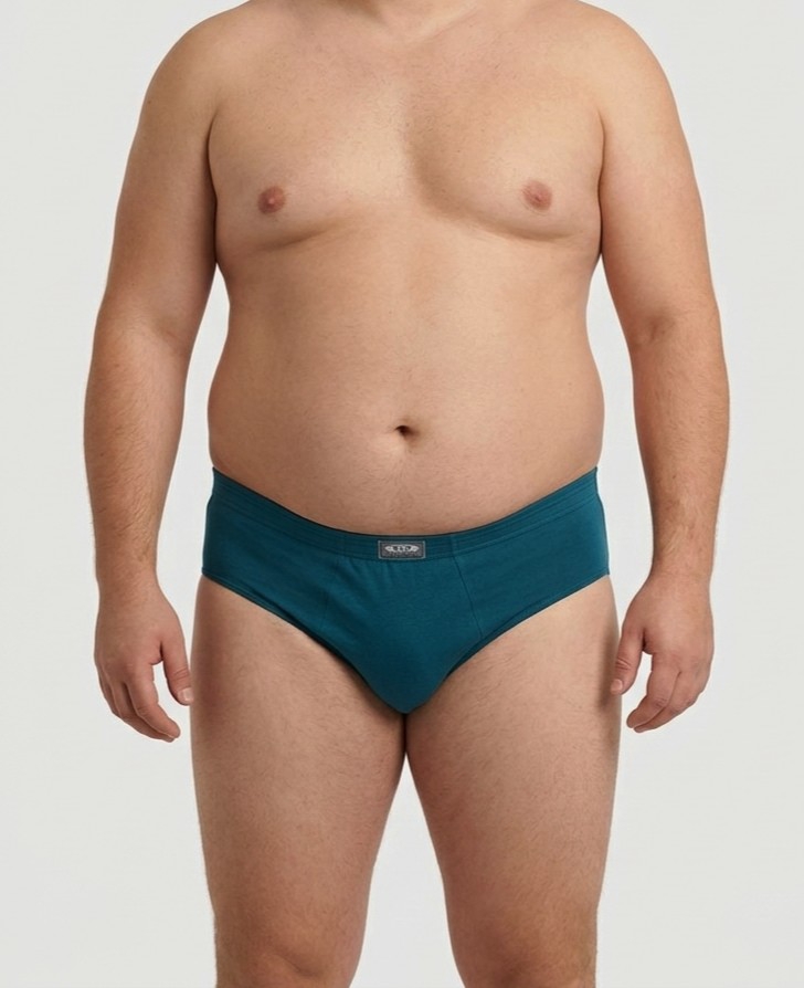 Docena de Slip Talle Especial en Algodón con Elástico Embutido - Imagen 3