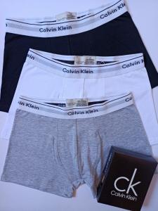 Boxer  Ck