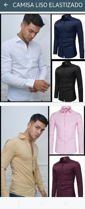 Camisa Lisa M/l Entallada Rígida