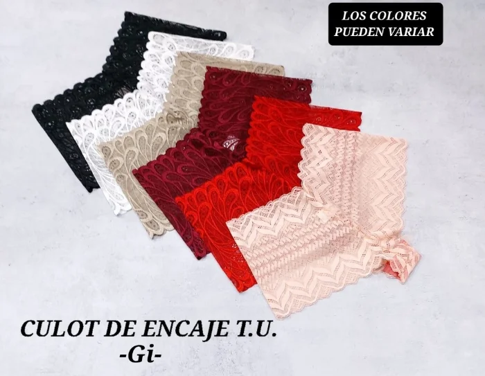 Culot de Encaje T.u Gi